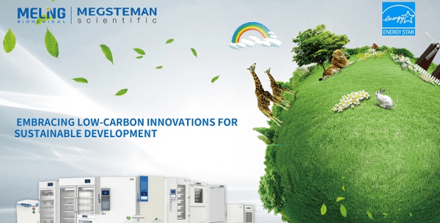Embracing Low-Carbon Innovations for Sustainable Development