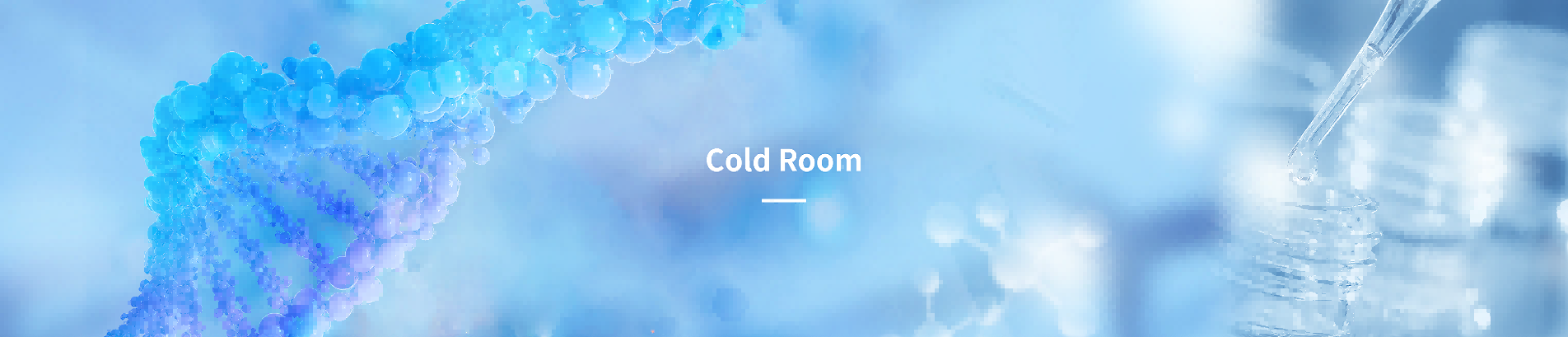 Cold Room